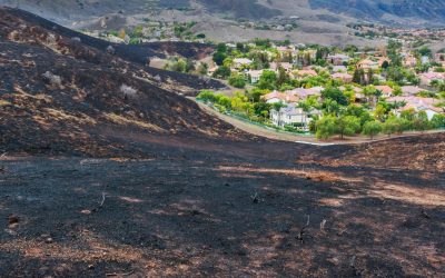 Protecting Your Home from Wildfires: Key Strategies for Vegetation Management